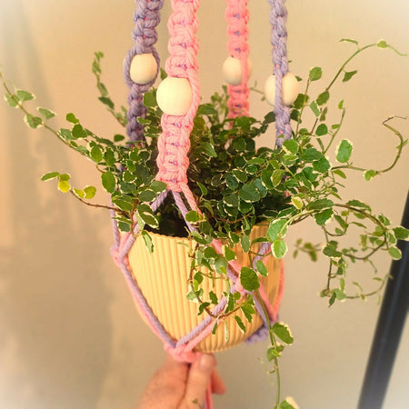 Macrame Plant Hanger - Pink & Purple