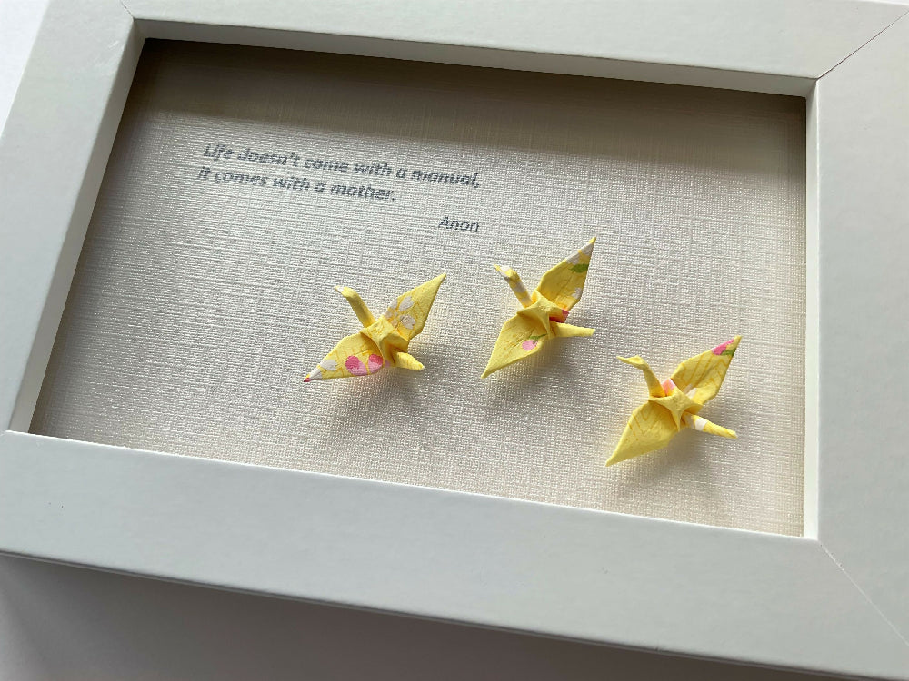 Framed inspiration quote and colourful cranes - I haven't been everywhere but it's on my list