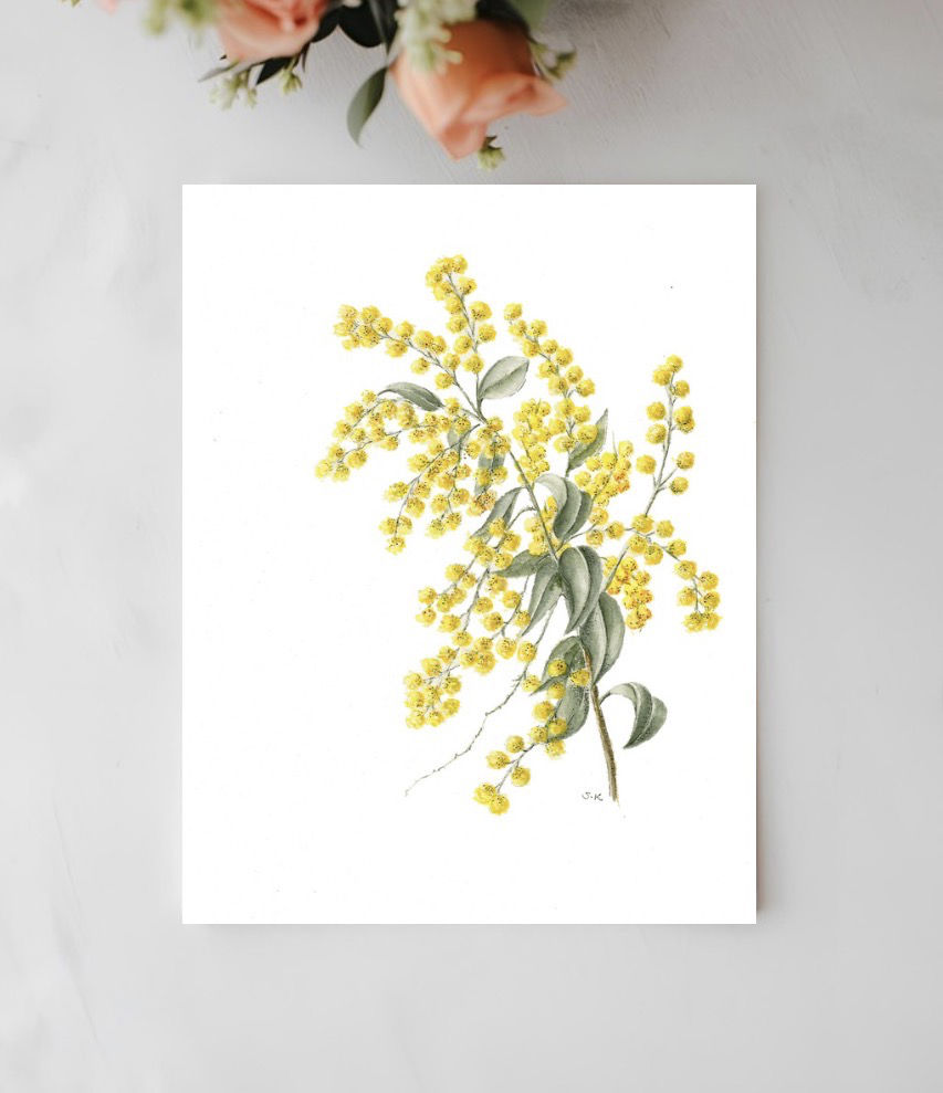 Golden Wattle Botanical Art Card - Handmade Watercolor Greeting Card