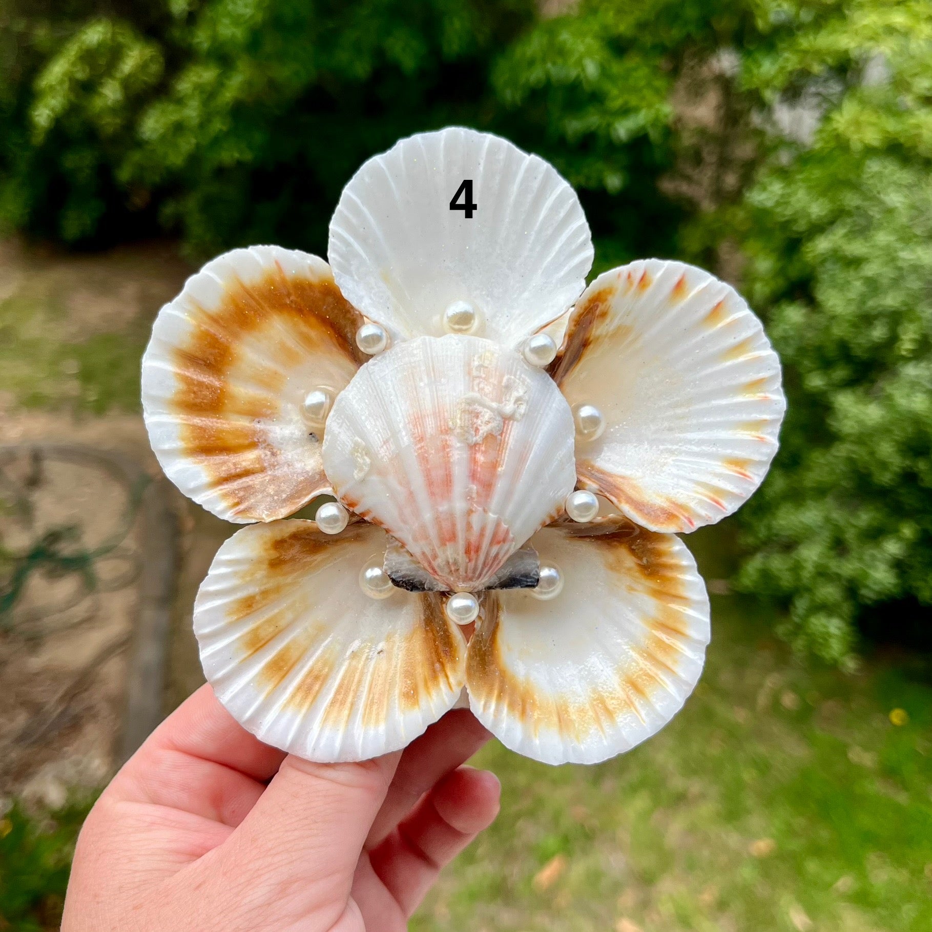 Large Scallop Shell Flower Trays