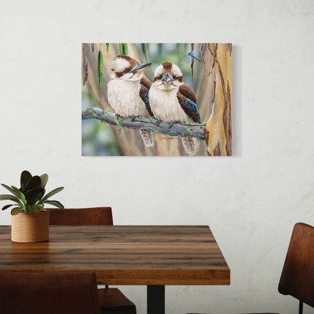 Laughing Kookaburras - Titled 