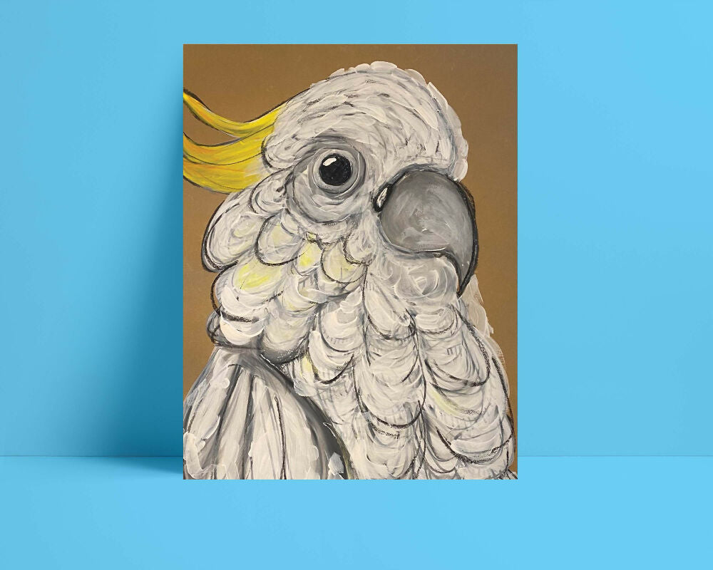 Sulfur Crested Cockatoo #2
