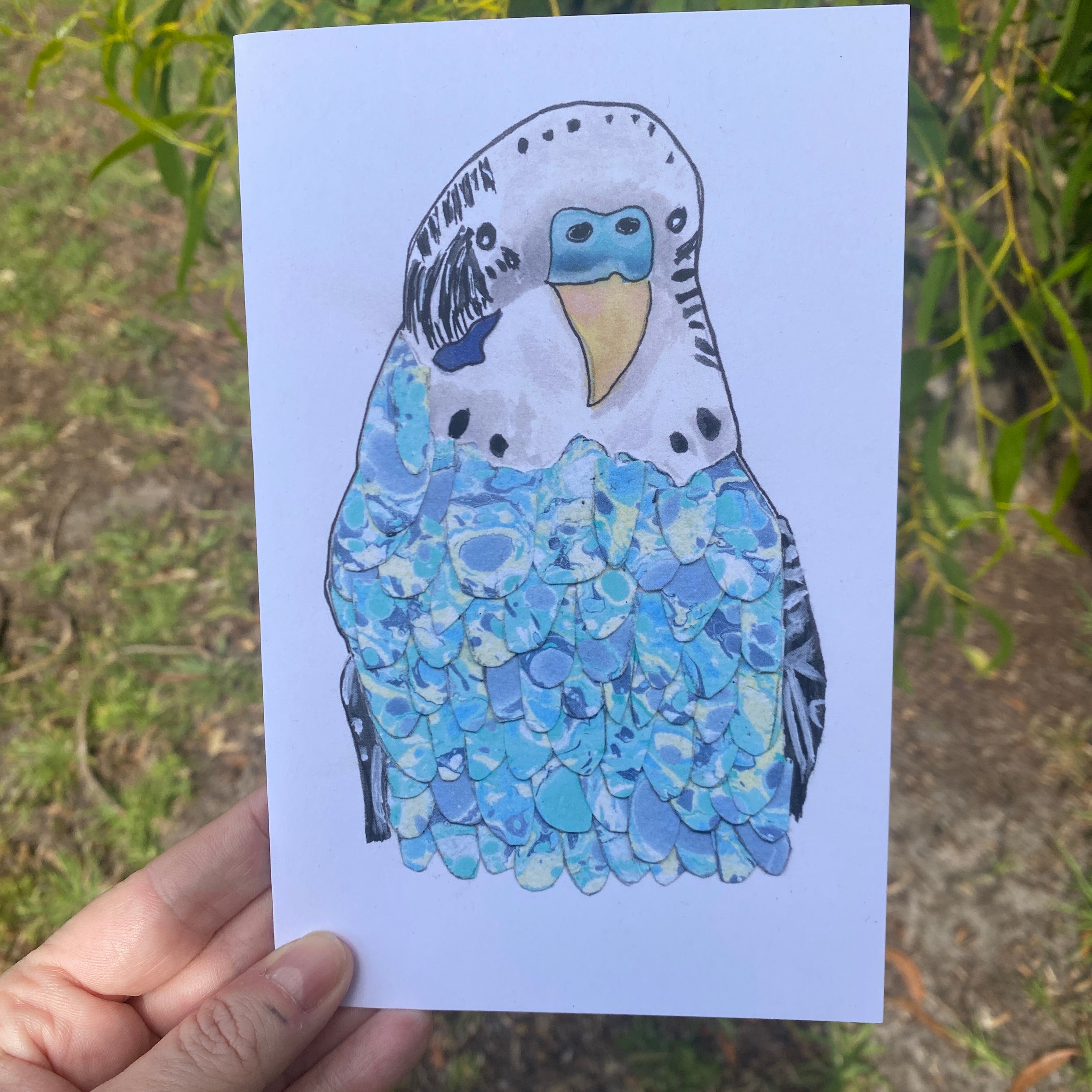 Budgie Blank Greeting Card