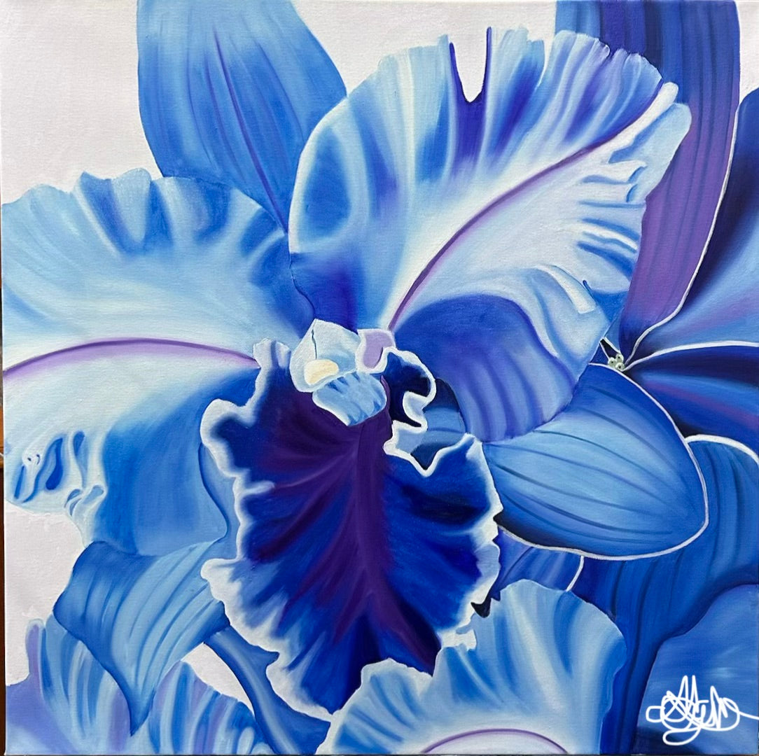 Original Oil Painting - Hand Painted - One of a Kind