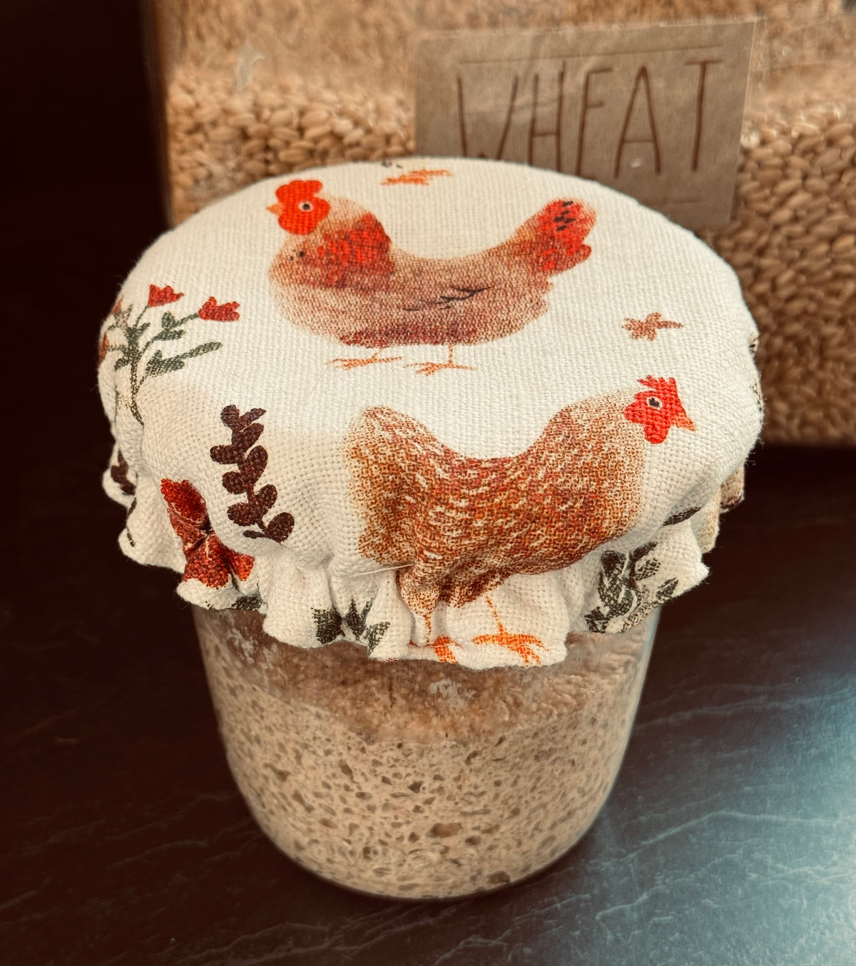 Country Style Reversible Jar Cover - Chickens