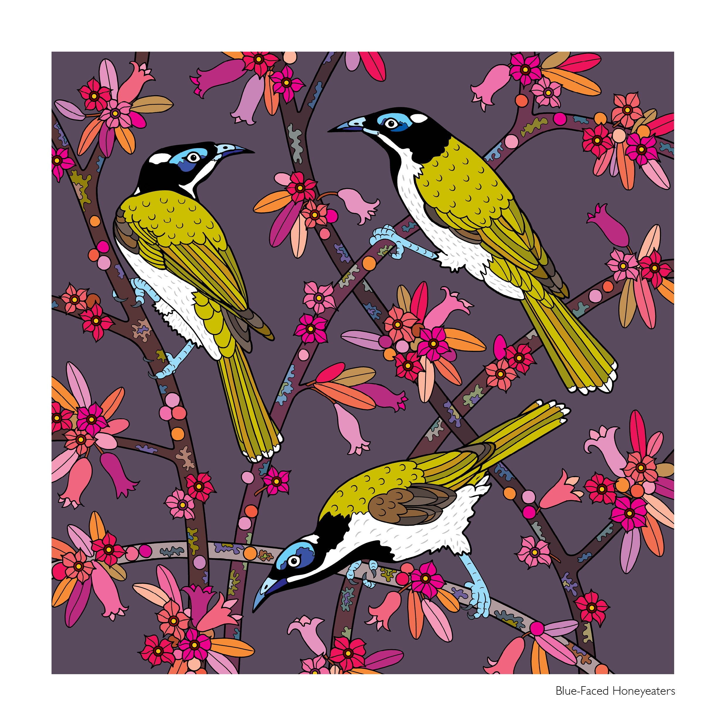 2027 Native Australian Birds and Plants Calendar