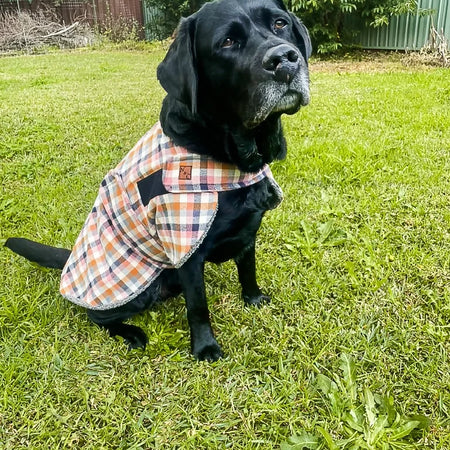 Chai Spice Flannelette Dog Coat