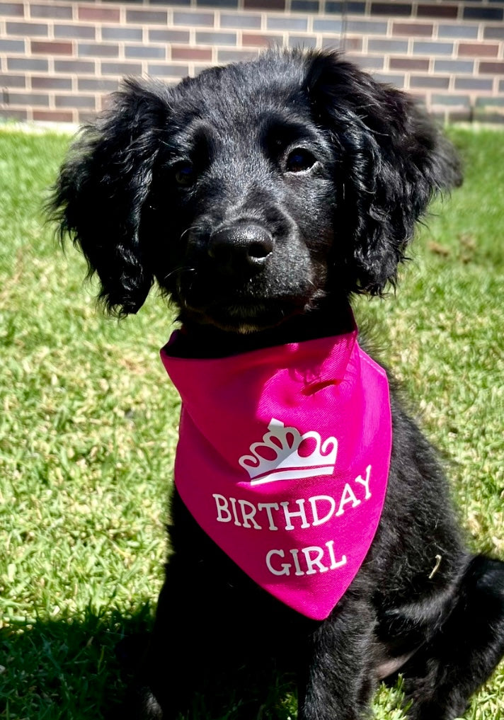 Dog Birthday - Dog Scrunchie Bandana