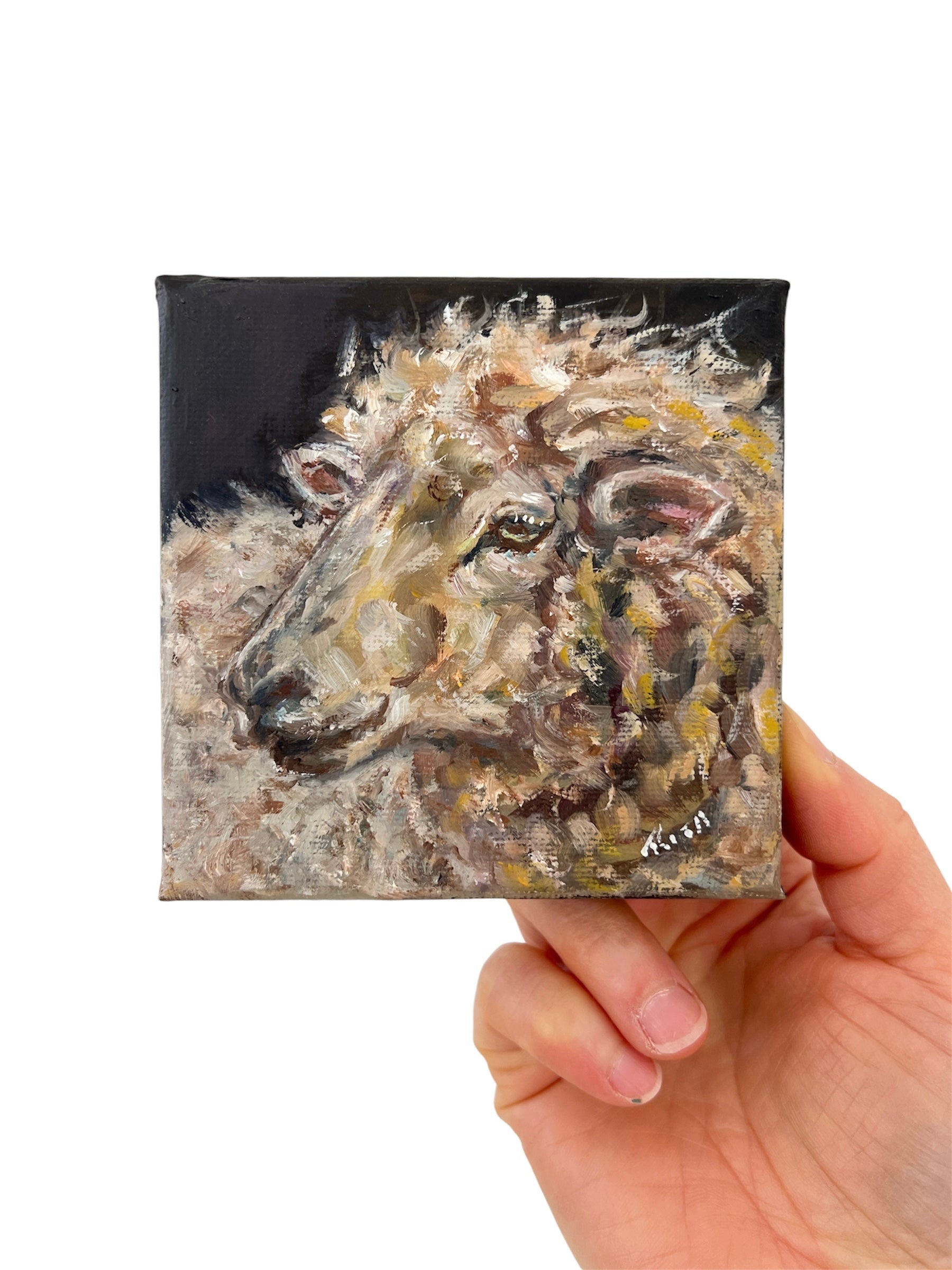 Woolly Wonder – Original Mini Sheep Oil Painting Art Gift
