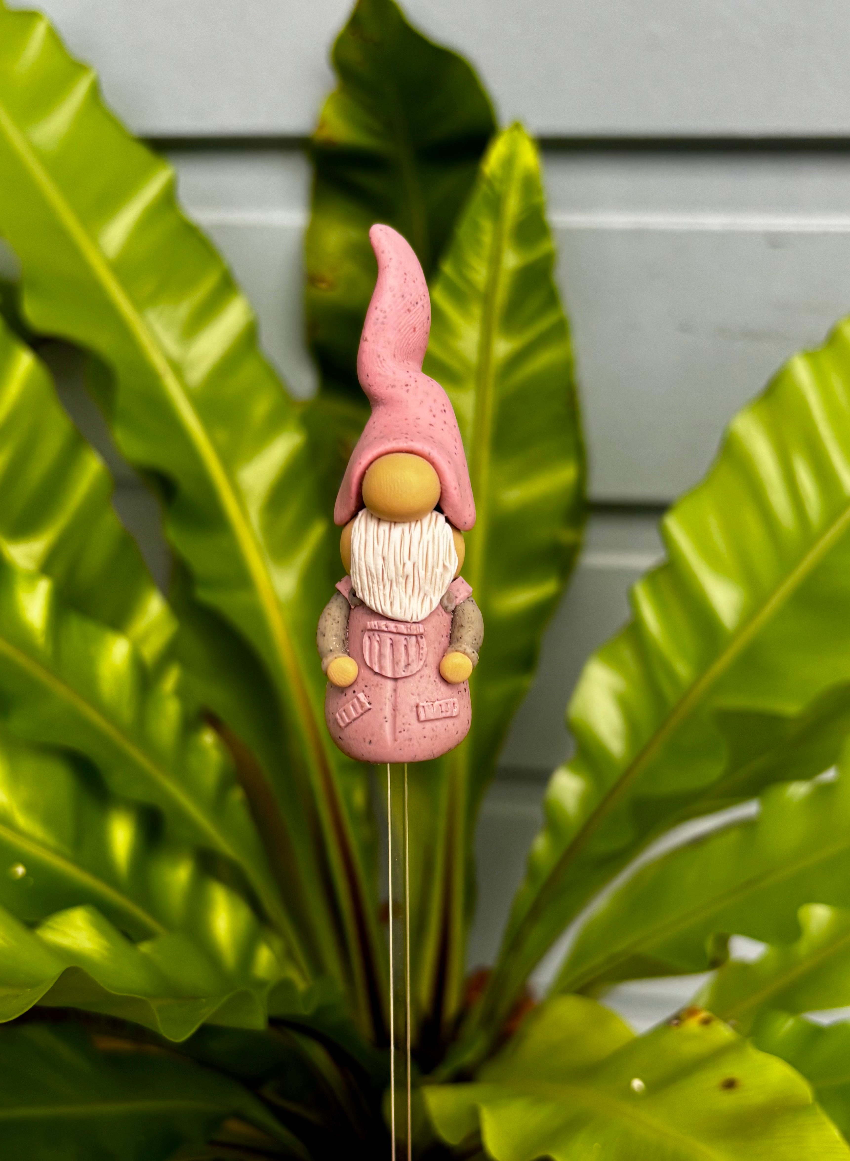 Tiny Gnomes - Reuben