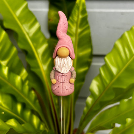 Tiny Gnomes - Reuben