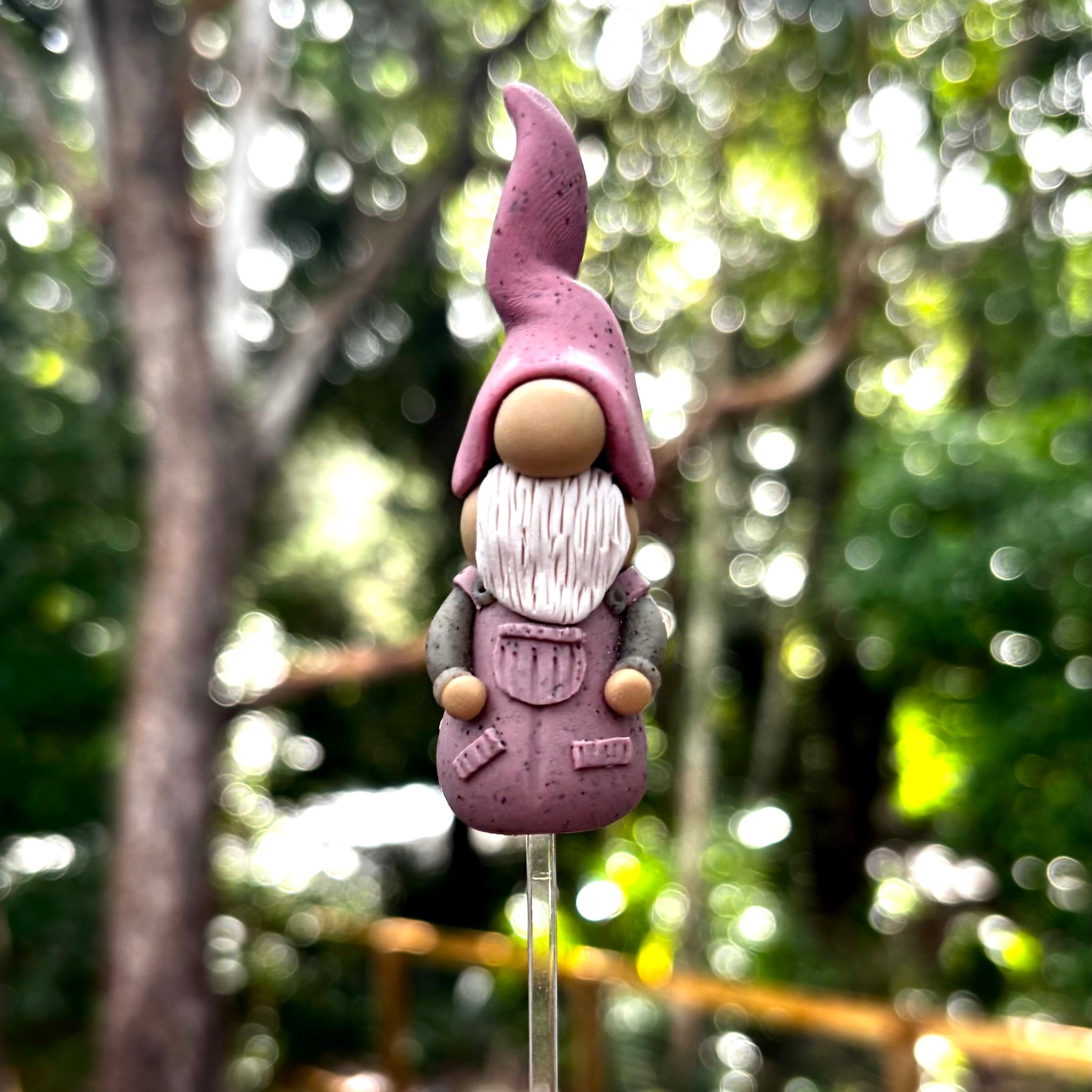 Tiny Gnomes - Reuben