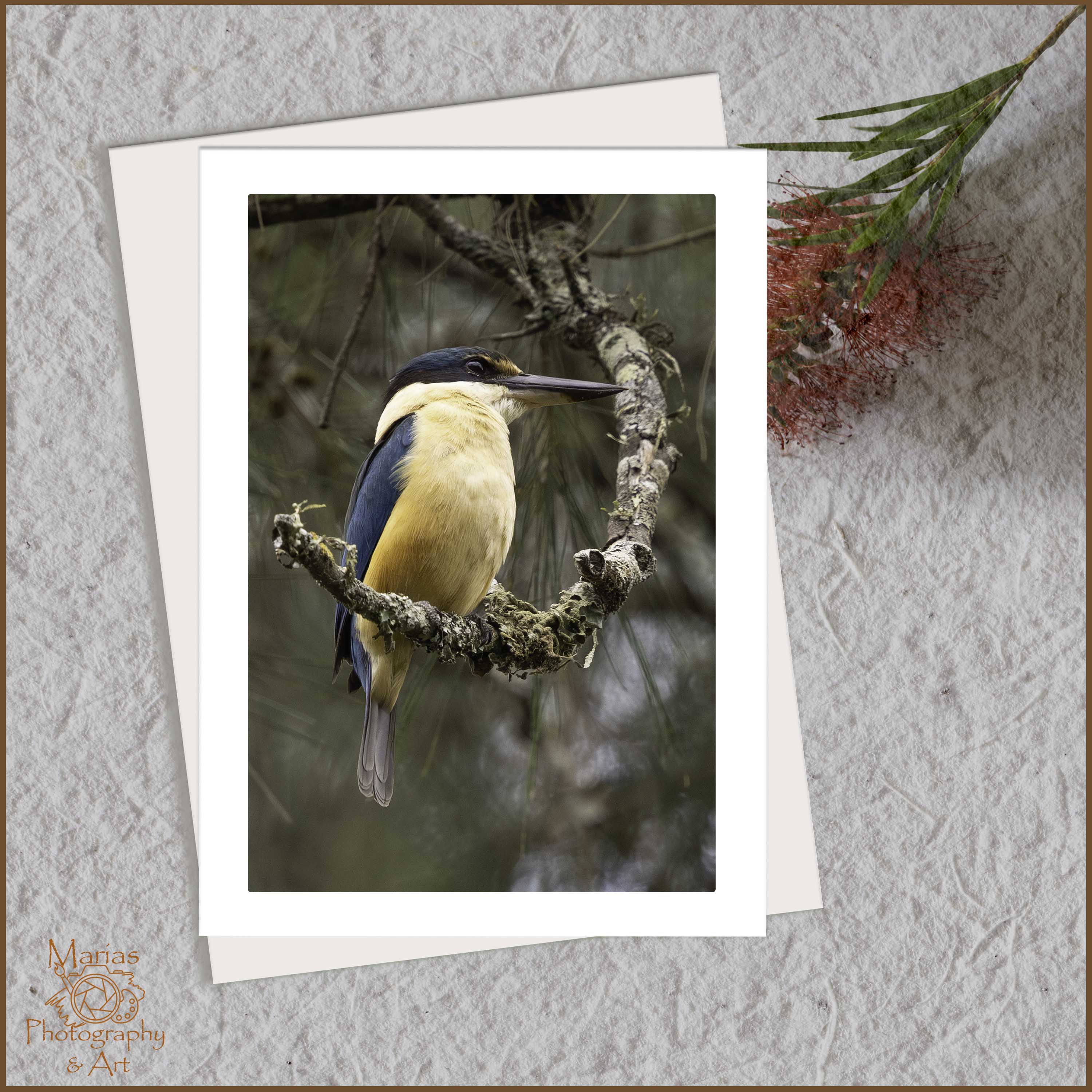 Blank Greeting card | Sacred beauty-kingfisher