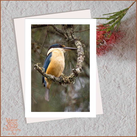 Blank Greeting card | Sacred beauty-kingfisher