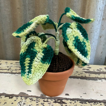 Handmade Crochet Pothos Plant - Whimsical Decor for Any Space