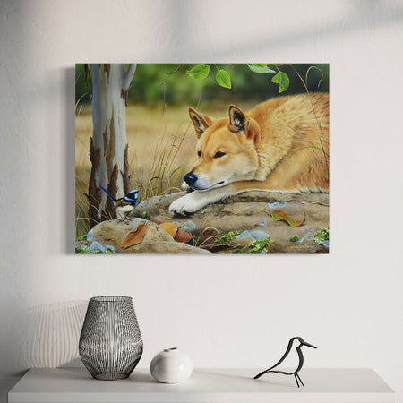 Dingo with a Male Superb Fairy-wren (blue wren) - Titled 