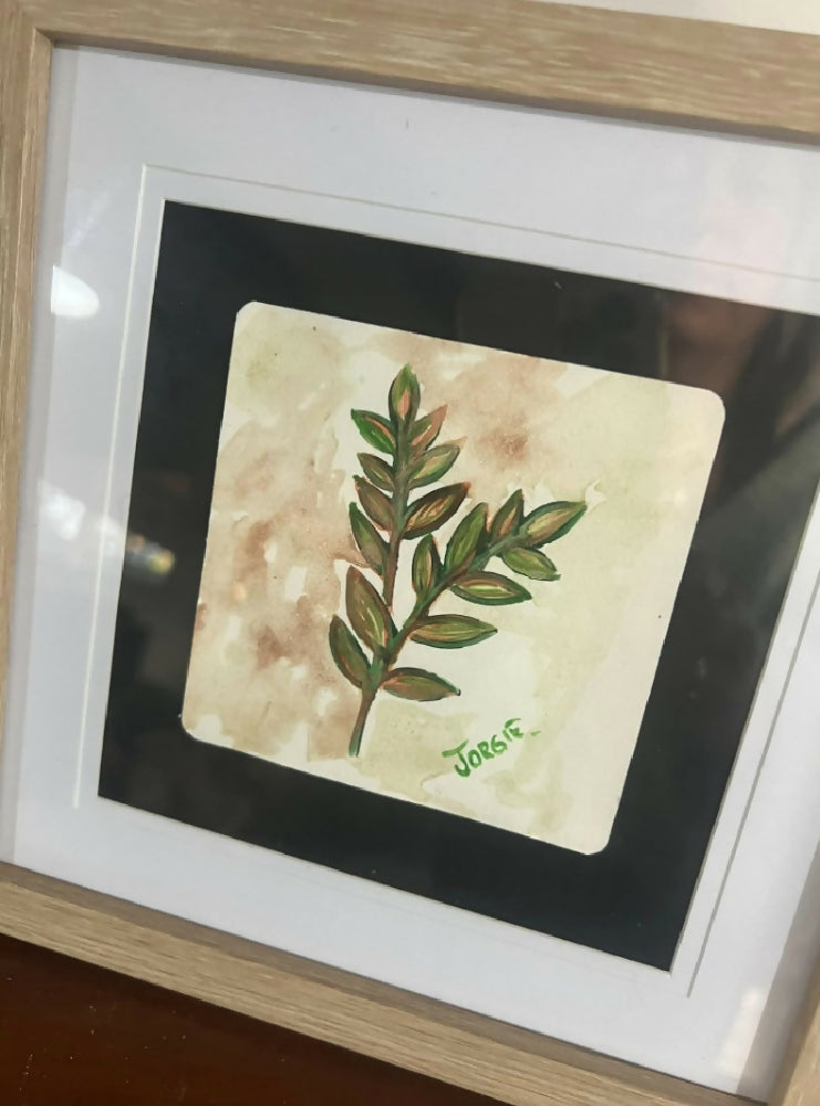 Botanical watercolor , framed ready to hang or display on side table