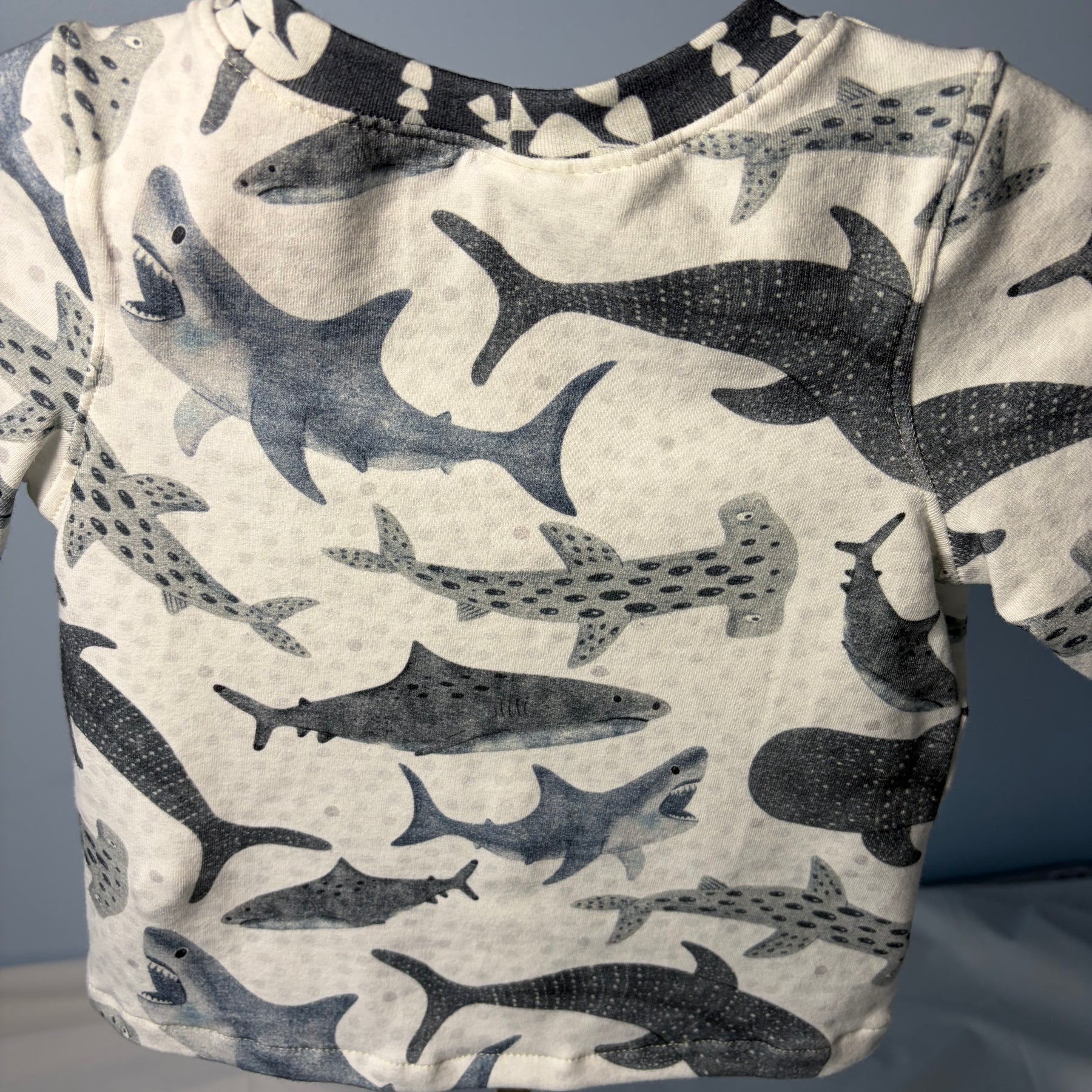 EOFY SALE SHARK TEE AND SHORTS SET 12-18 months