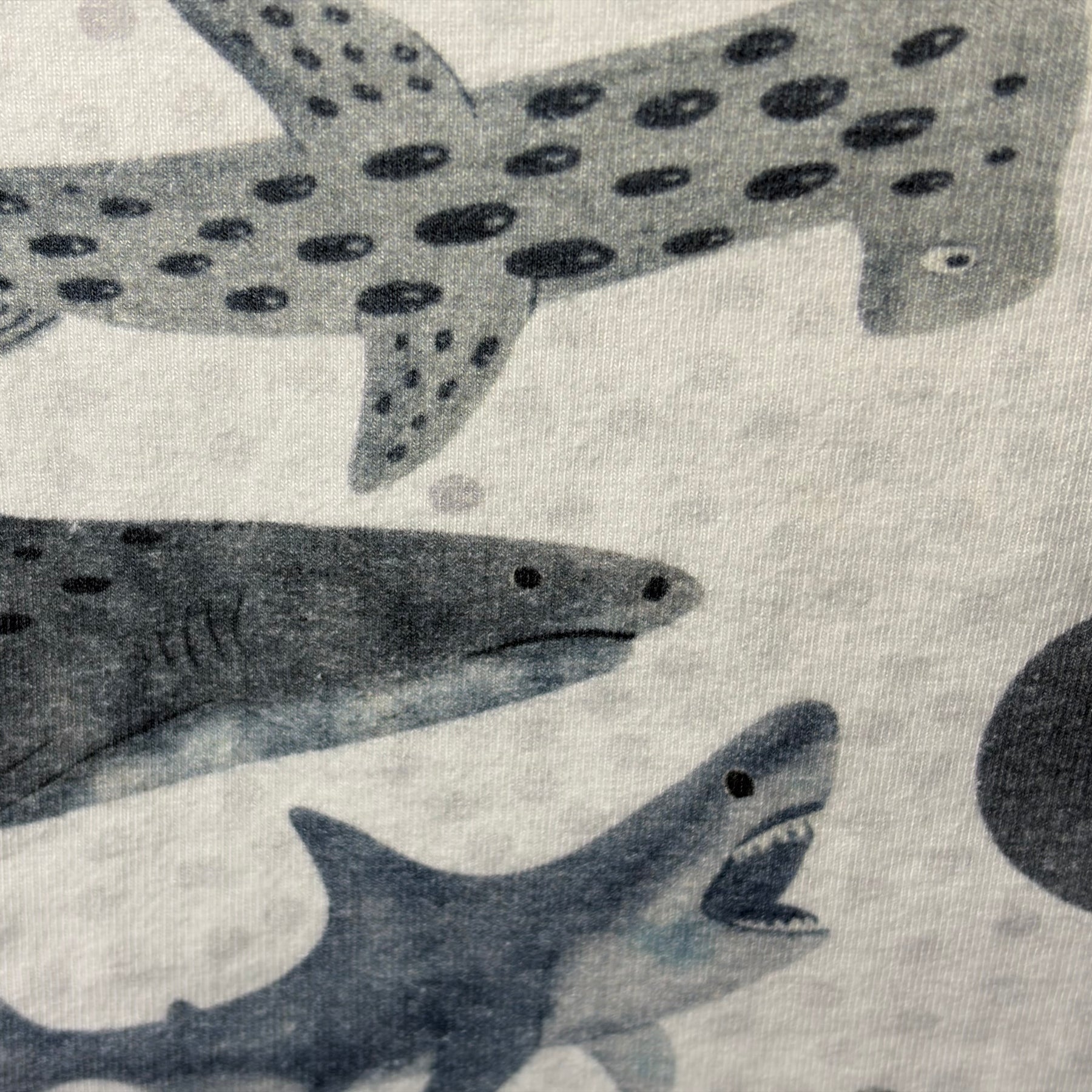 EOFY SALE SHARK TEE AND SHORTS SET 12-18 months
