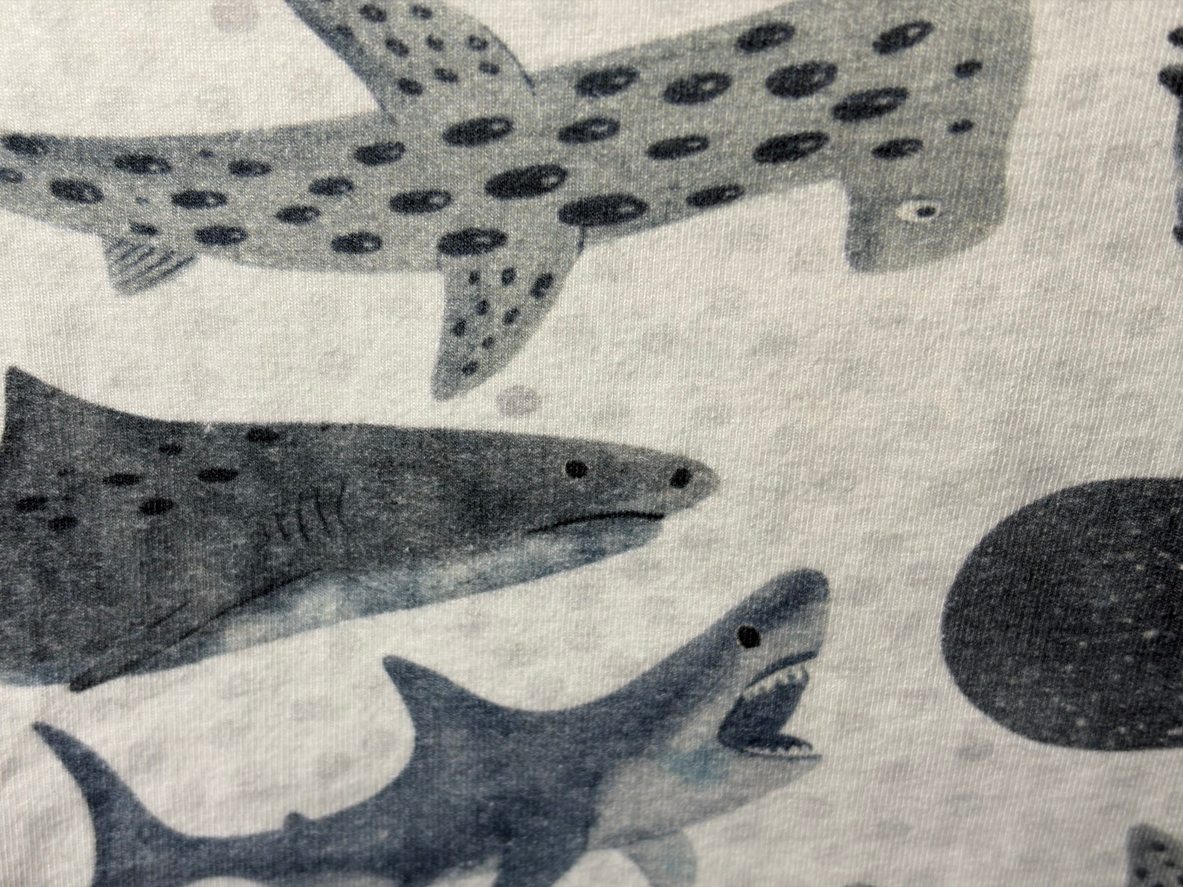 EOFY SALE SHARK TEE AND SHORTS SET 12-18 months