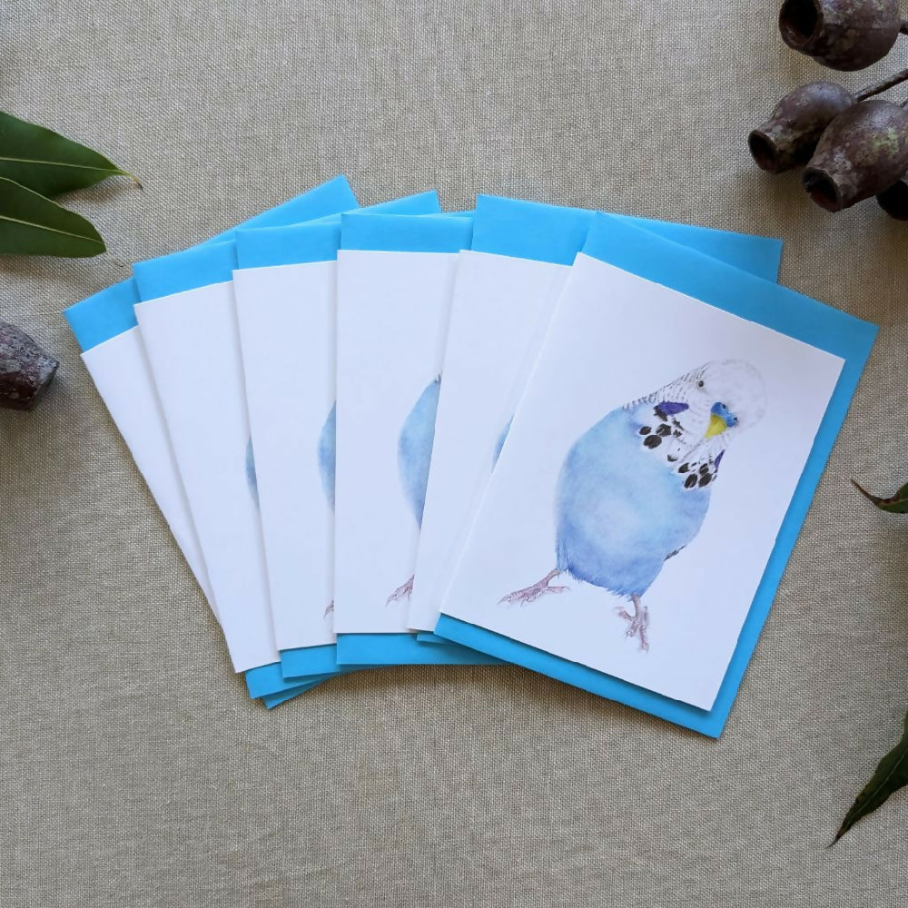 budgiegiftcardsetof6