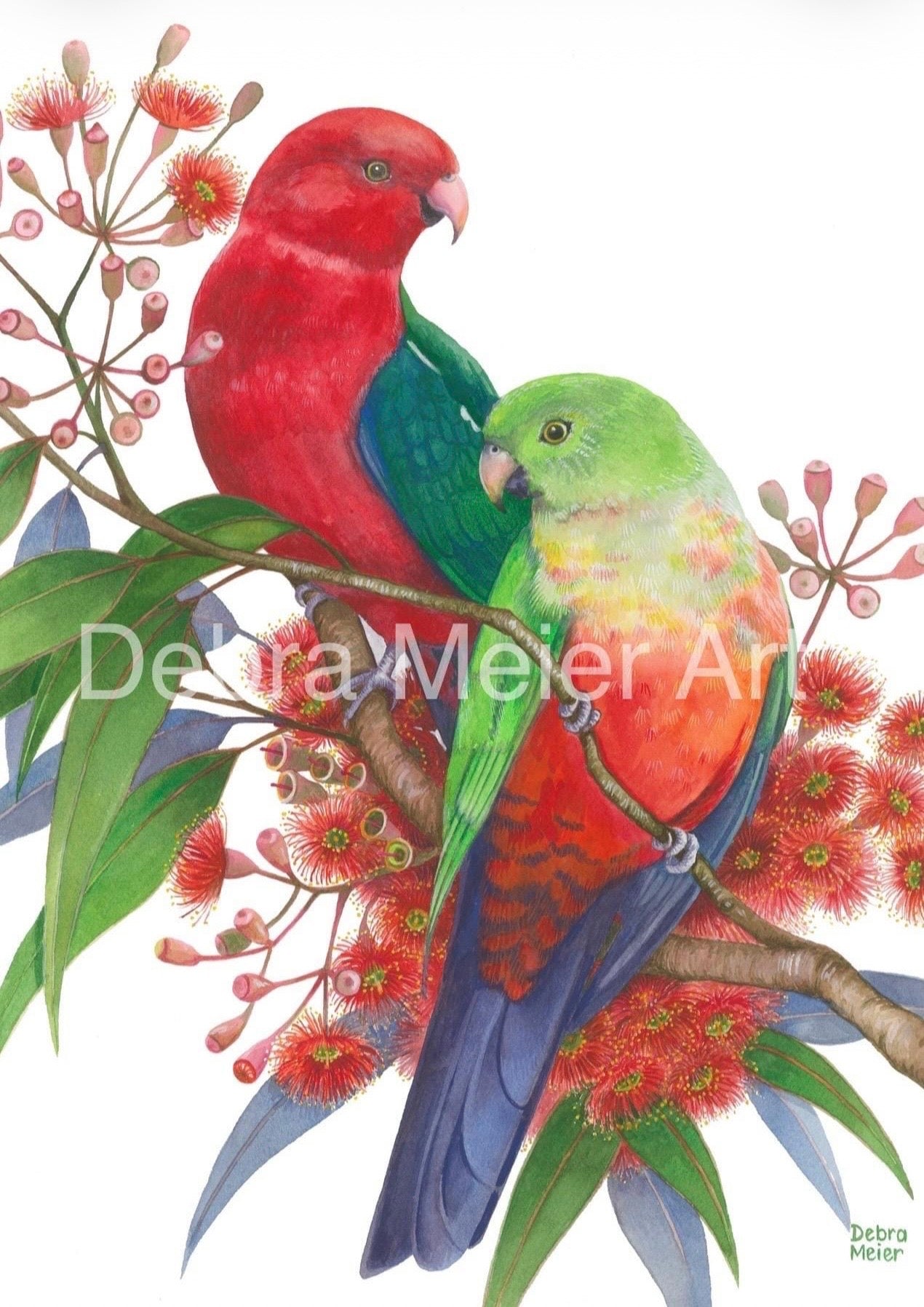 King Parrot pair art print by Debra Meier Art.