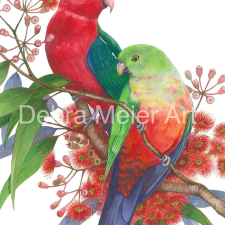 King Parrot pair art print by Debra Meier Art.