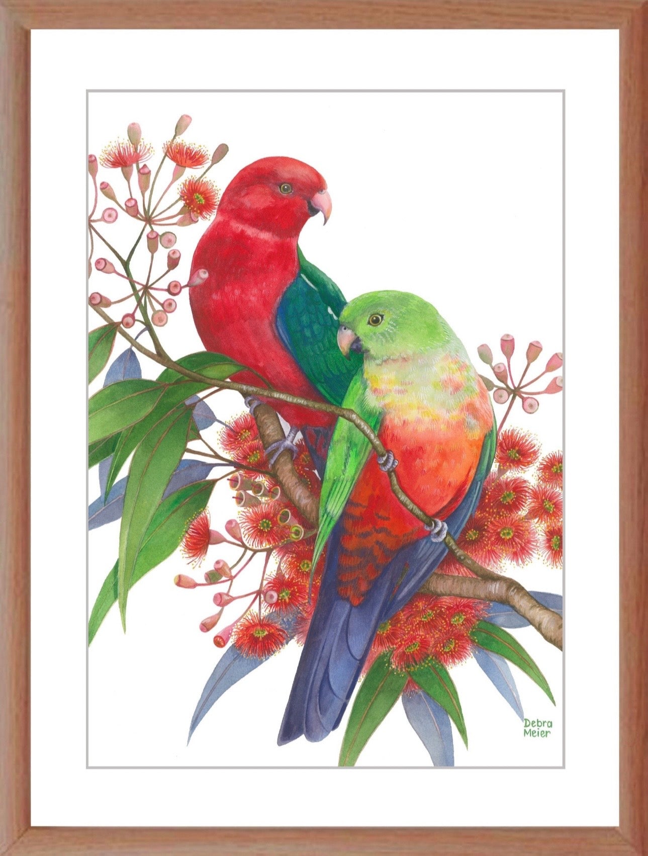 King Parrot pair art print by Debra Meier Art.