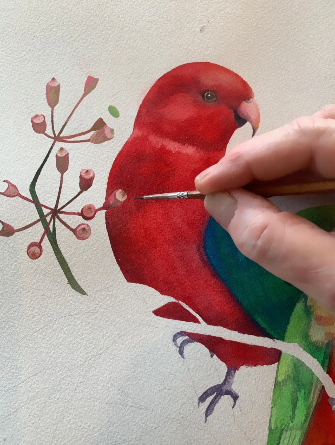 King Parrot pair art print by Debra Meier Art.