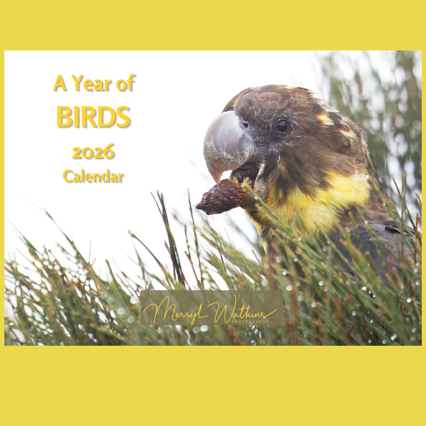 A Year of Birds 2026 - A4 Photographic Calendar