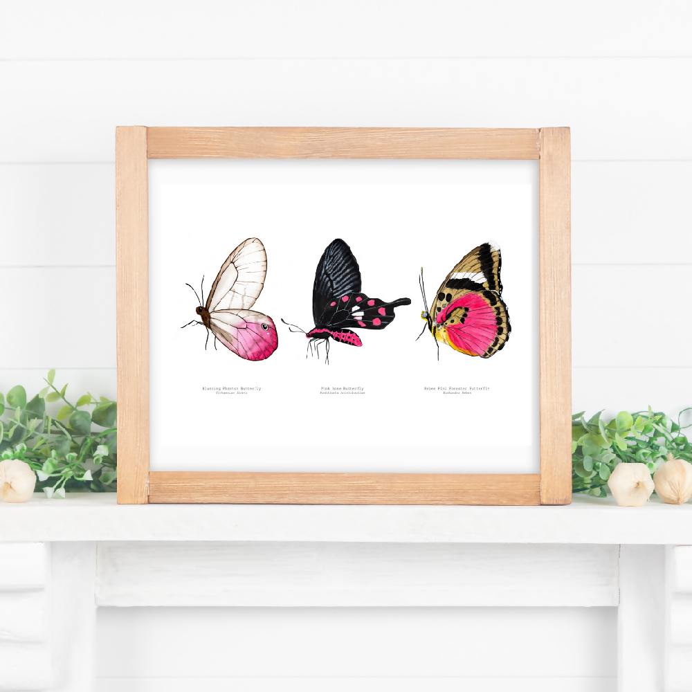 art print - the fauna series  pink butterfly trio