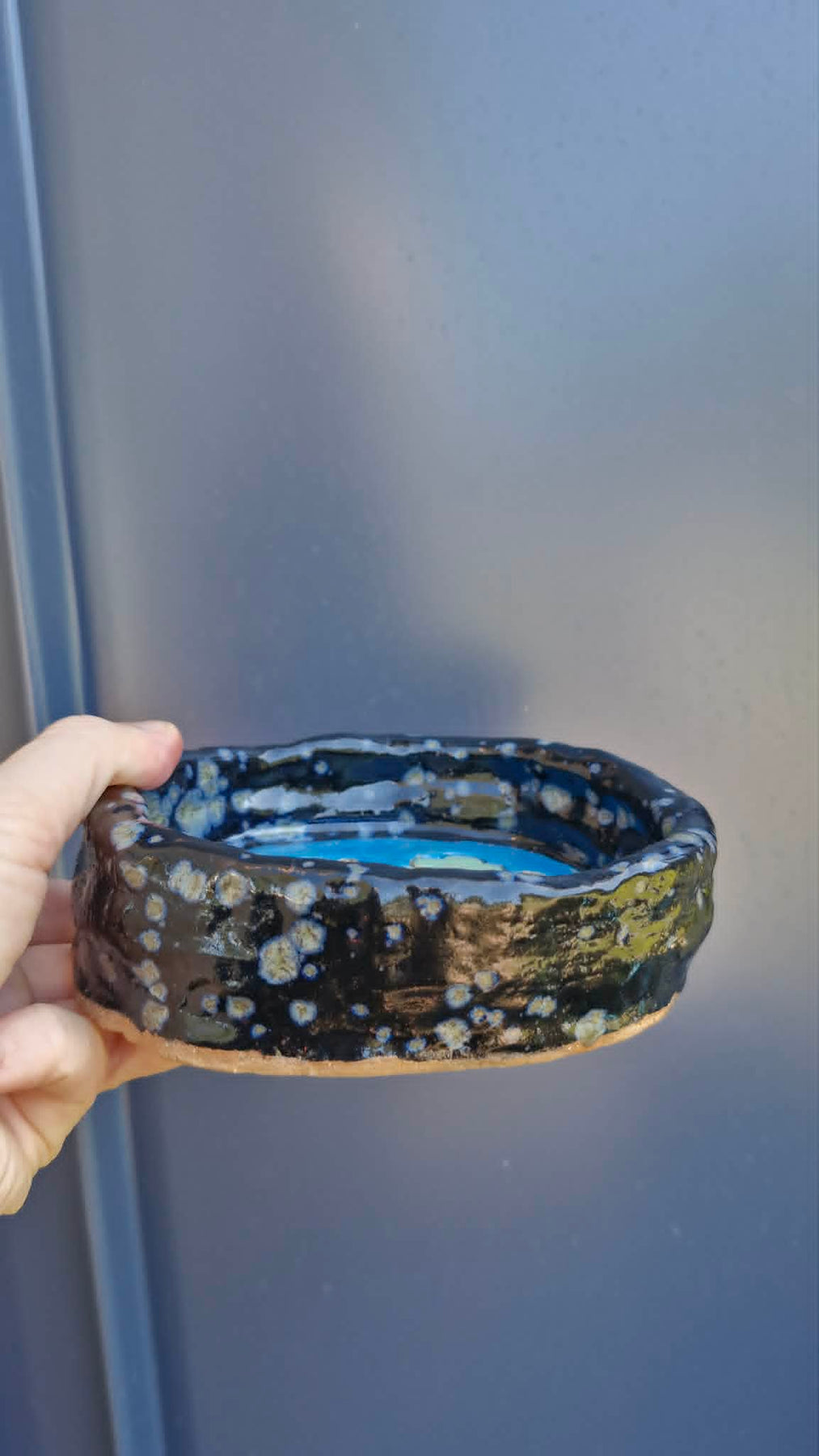 Dark Colour Bear Trinket Dish