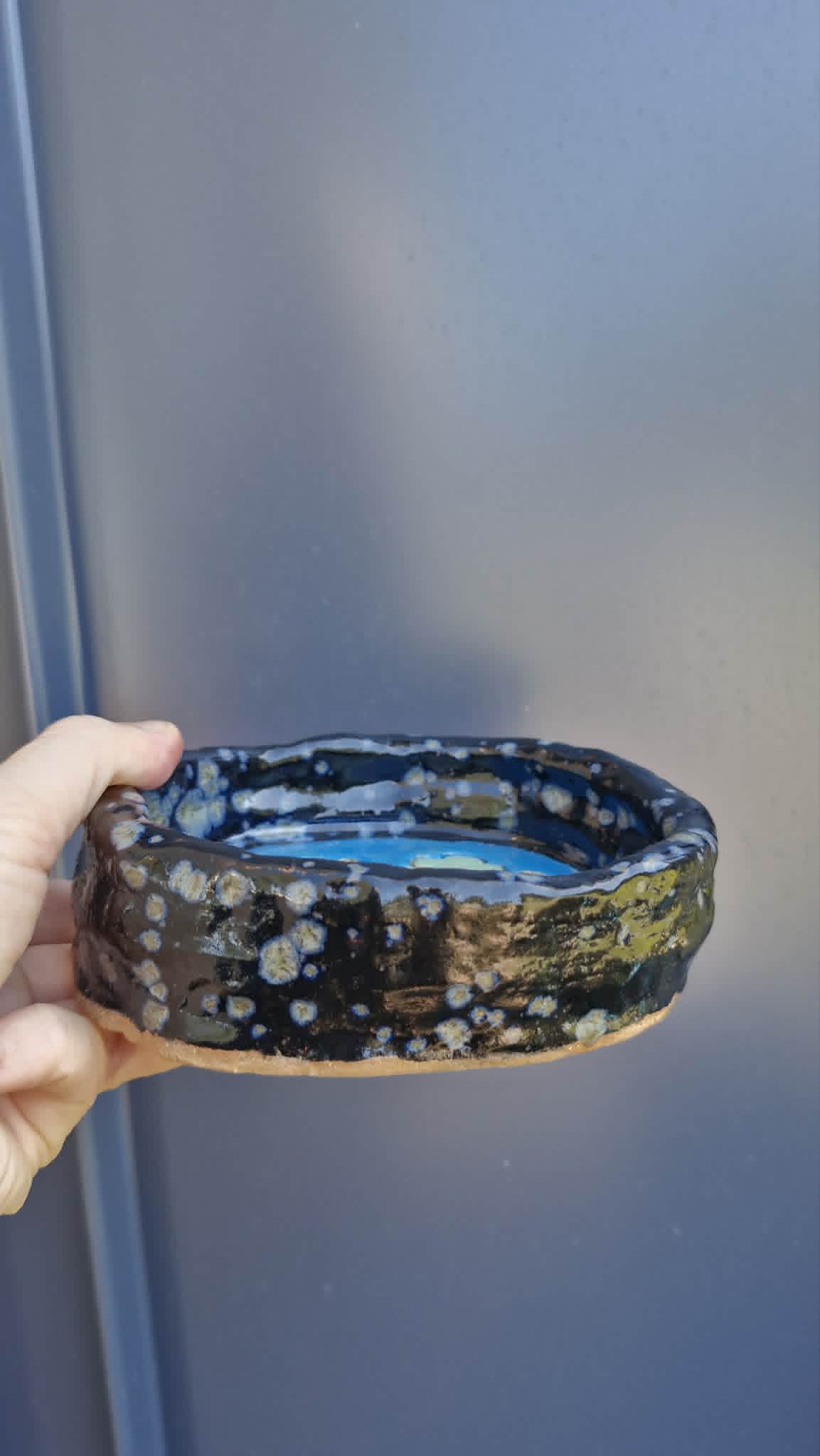 Dark Colour Bear Trinket Dish