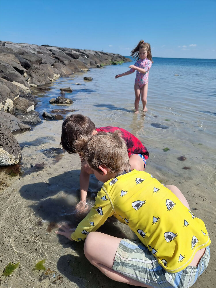 Nature-Exploring-Beach (19)