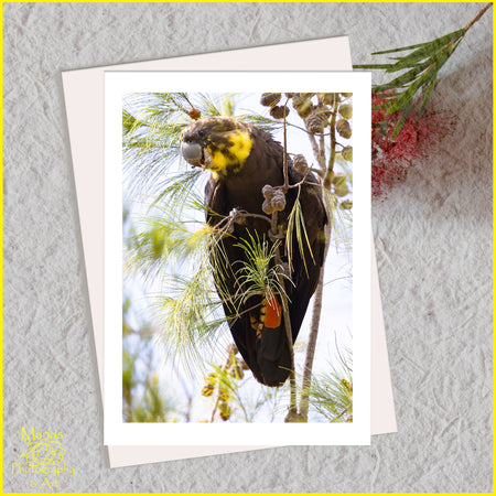 Greeting card | Pretty girl | Glossy black cockatoo