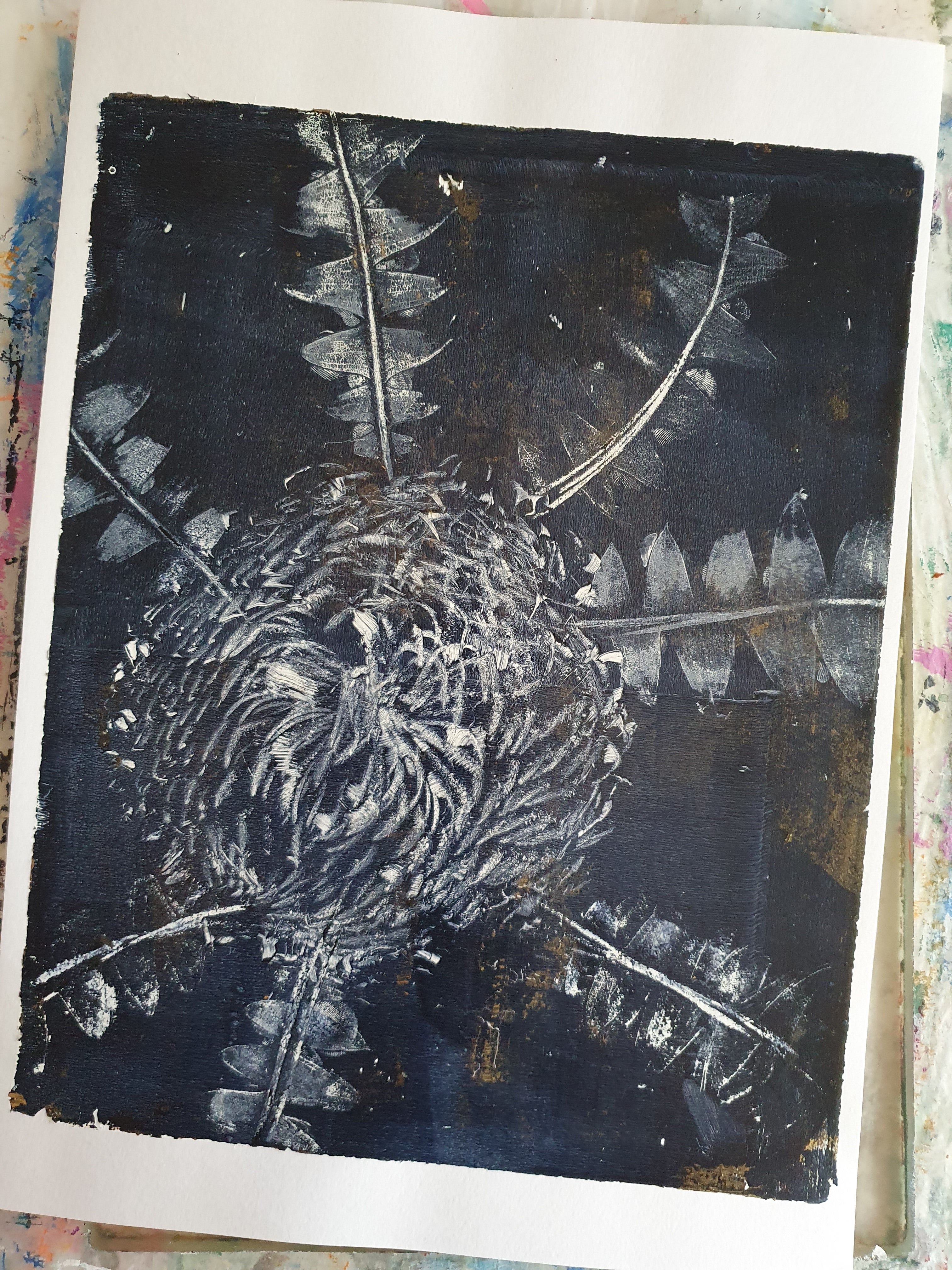 Baxter's Banksia, Blue & White | Acrylic monoprint on paper | Original framed artwork | 8x10inches