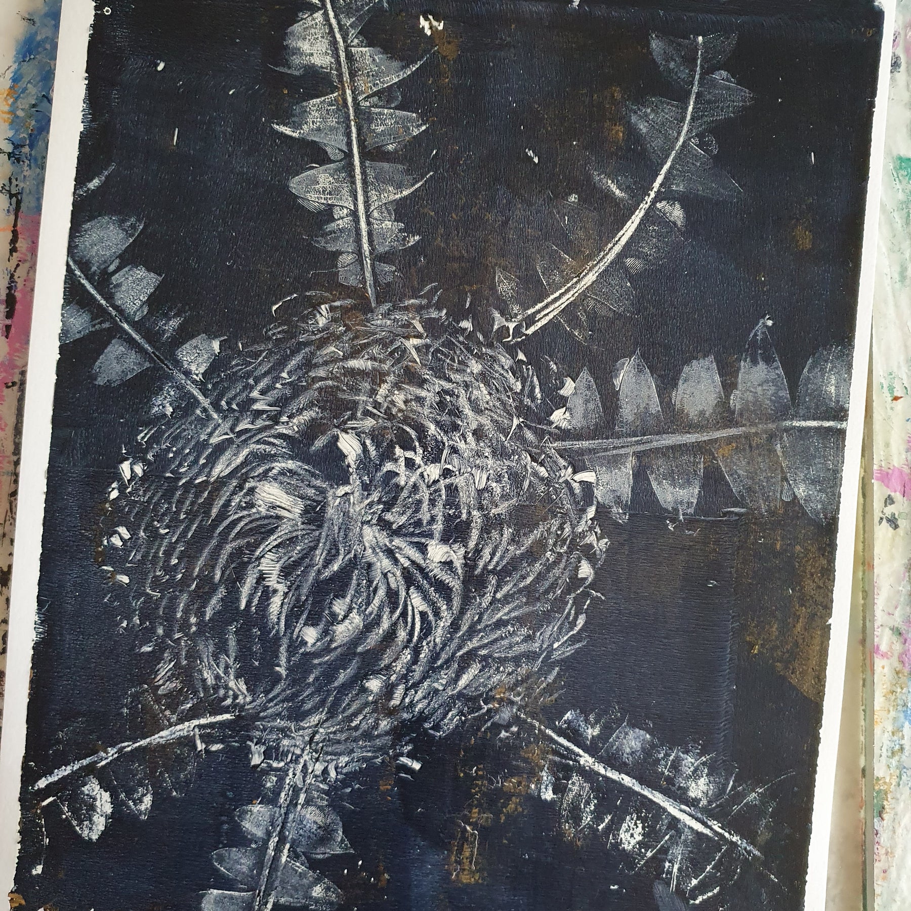 Baxter's Banksia, Blue & White | Acrylic monoprint on paper | Original framed artwork | 8x10inches