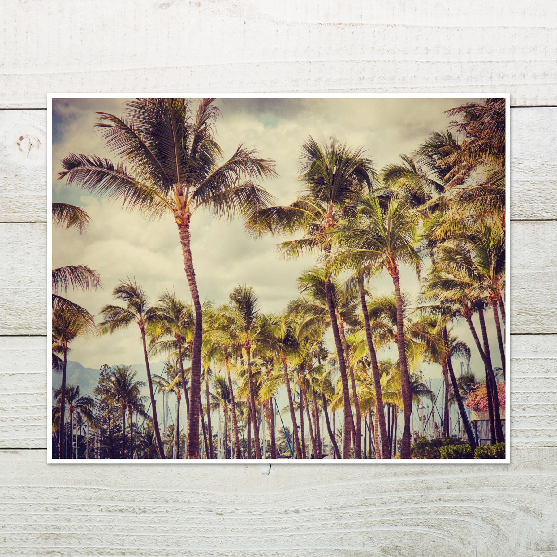 Vintage Inspired Palm Tree Wall Art Photo Print