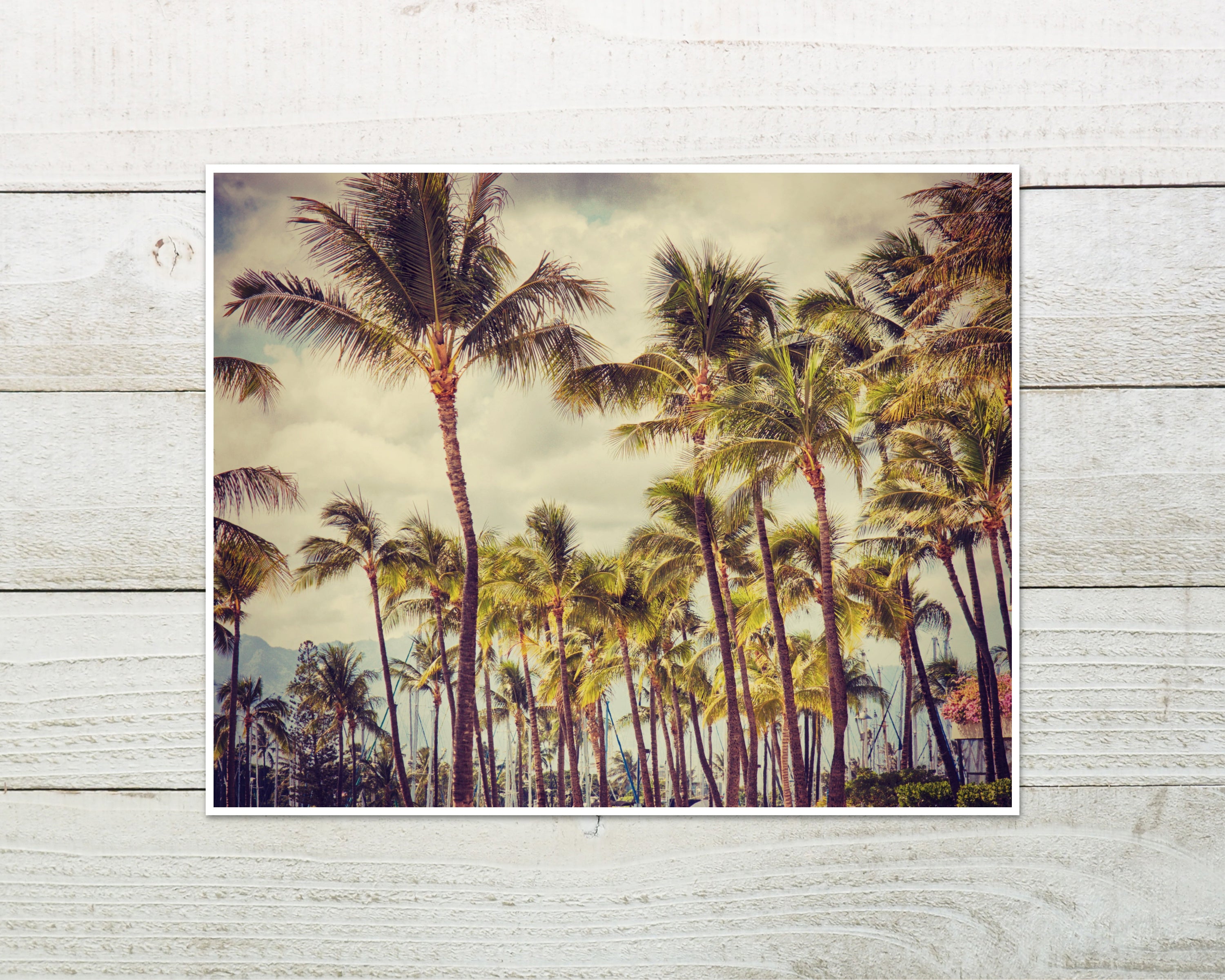 Vintage Inspired Palm Tree Wall Art Photo Print