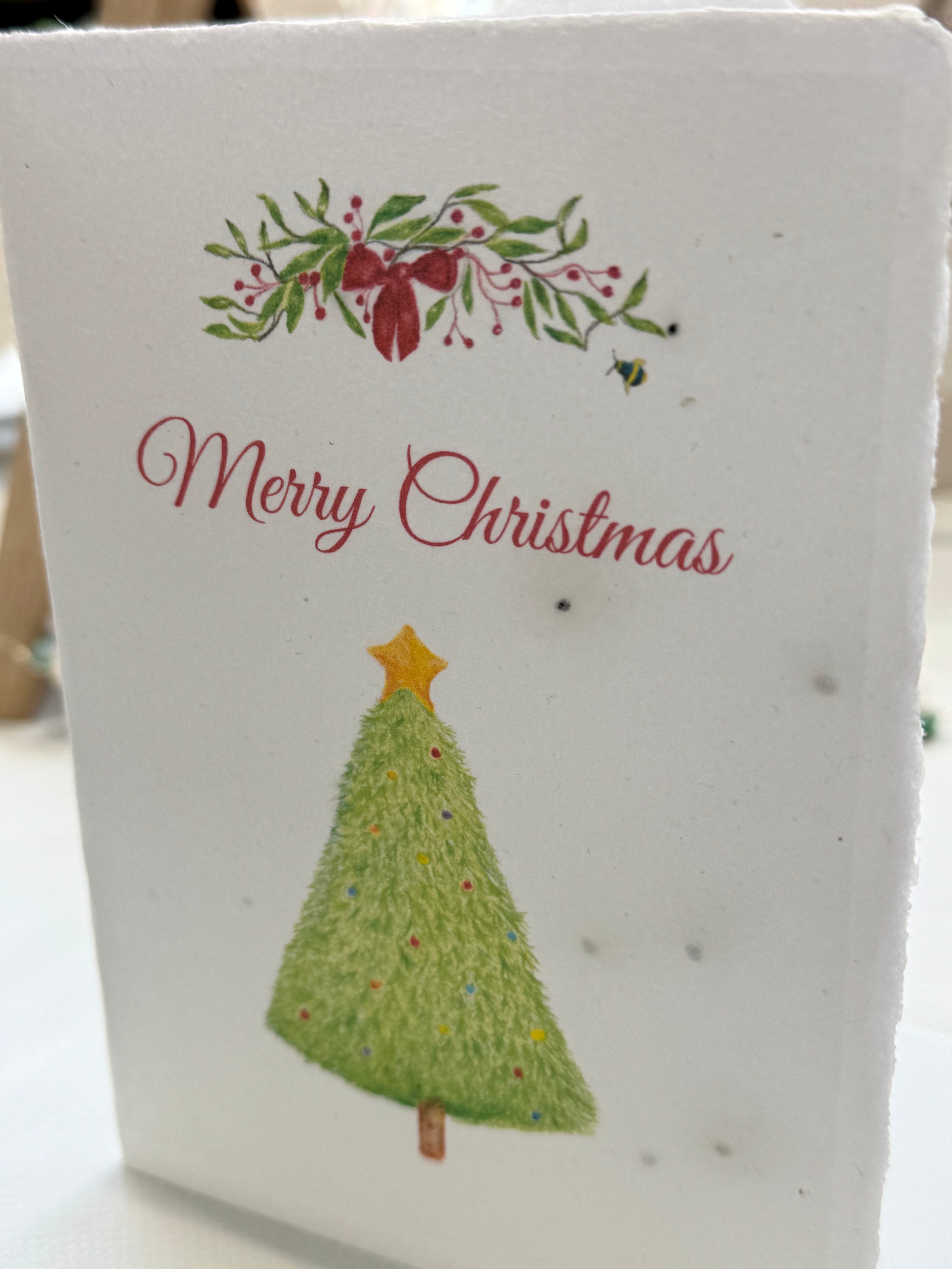 Christmas Seeded Paper Cards