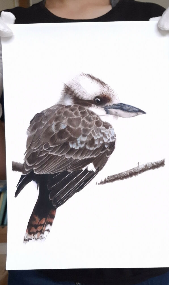 A4 kookaburra fine art print