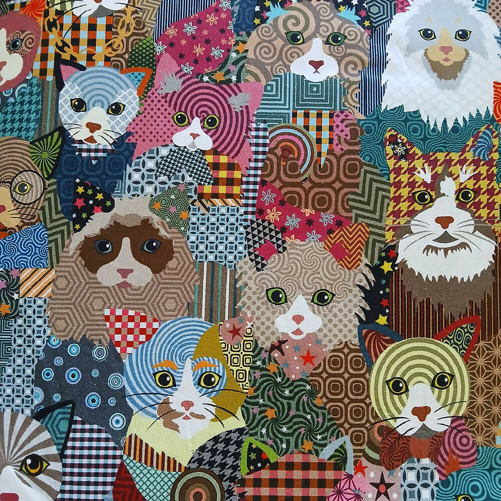 20241106_102655 abo cats 1024 madeit  size