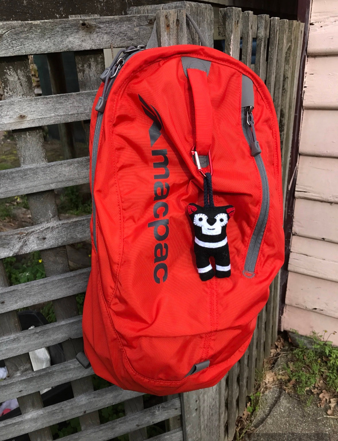 Travel Buddy Tasmanian Devil