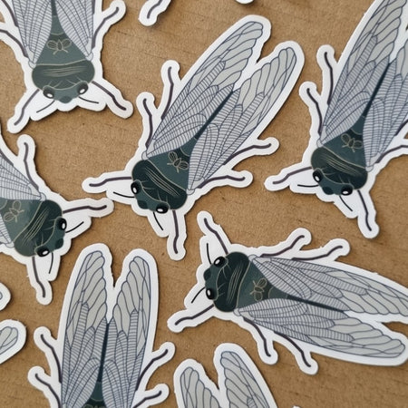 Green Cicada Bug Insect Sticker