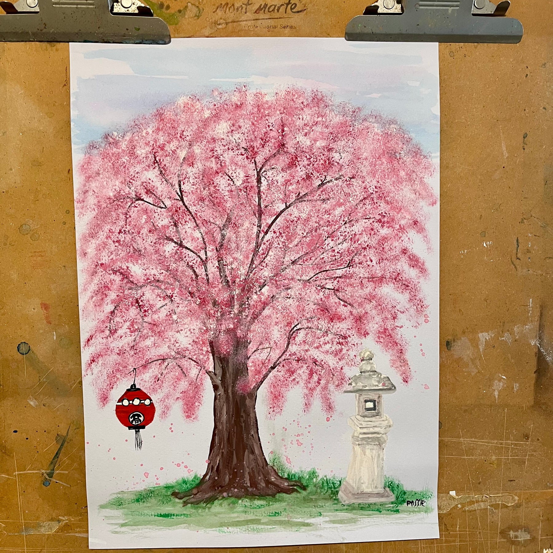 Cherry Blossoms