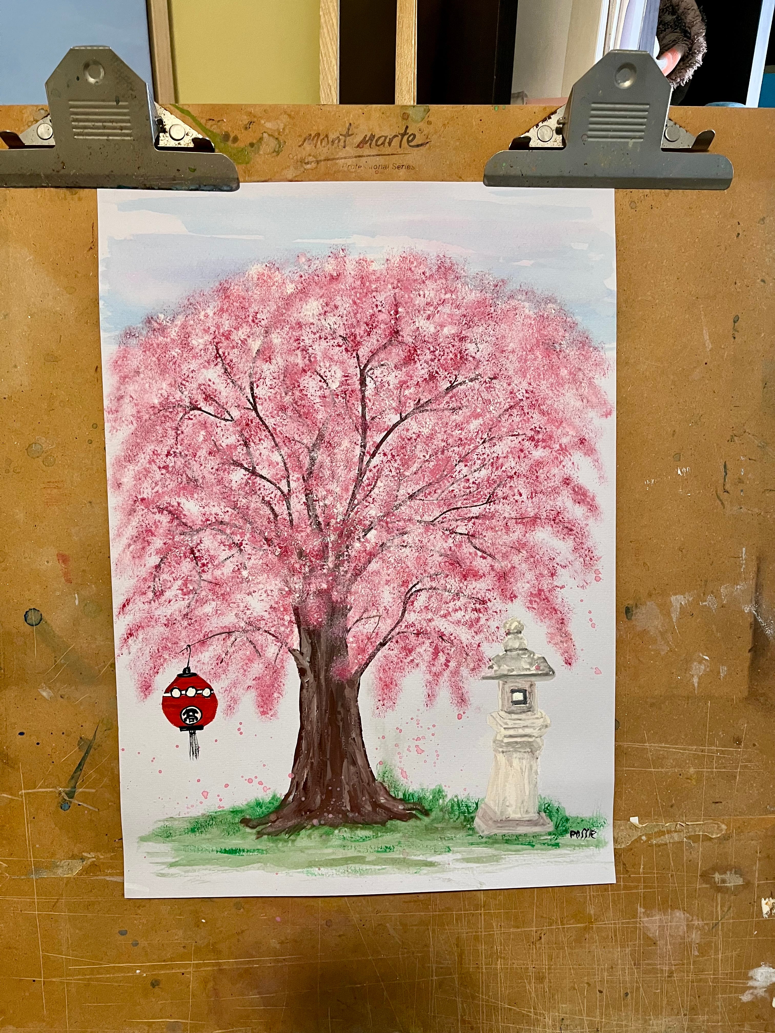 Cherry Blossoms