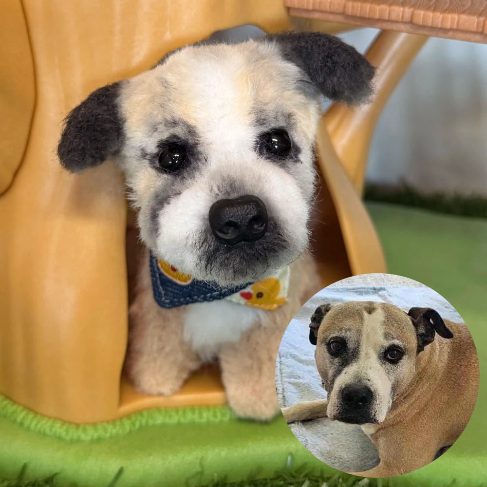 Custom Dog Replica from Photo, Poseable Art Doll, Pet Memorial Keepsake - Handmade Soft Sculpture, Personalised Plushie Ornament
