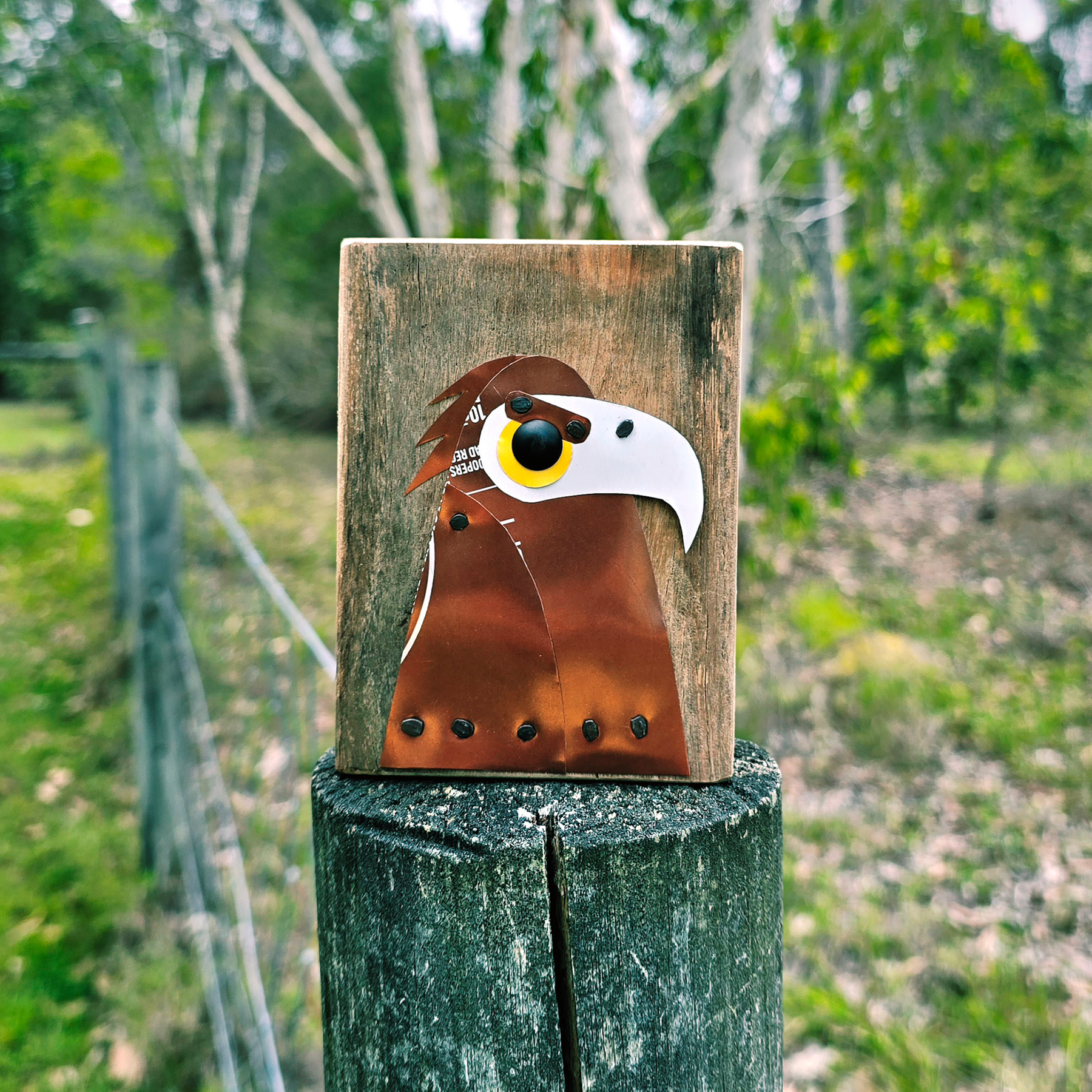 BIRD BLOCK - WEDGE-TAILED EAGLE