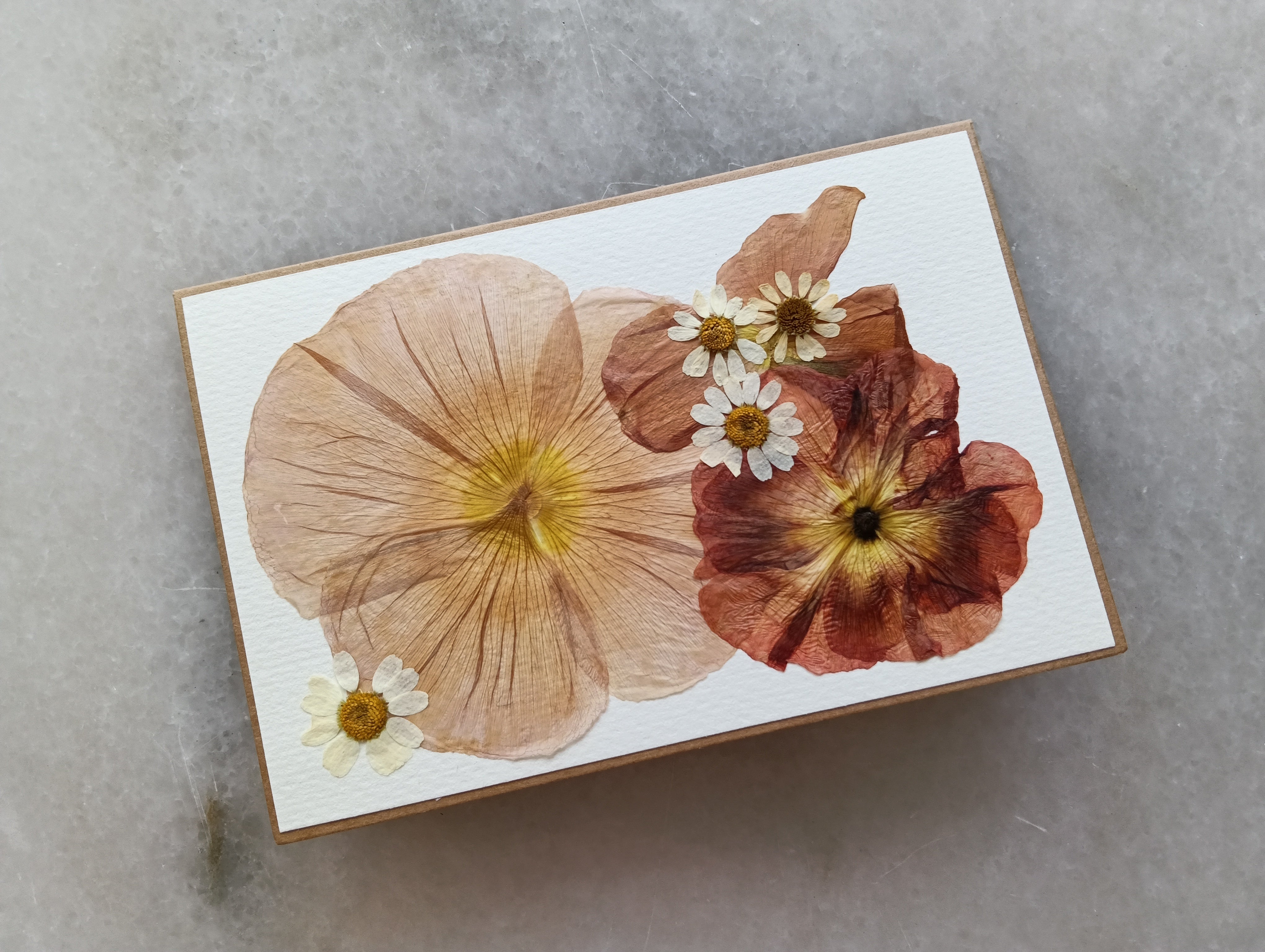 Sweet Poppy | Pressed Flower Handmade Card