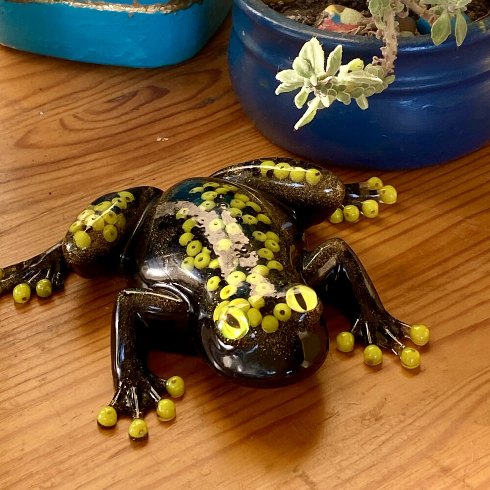 Yellow and Black Frog